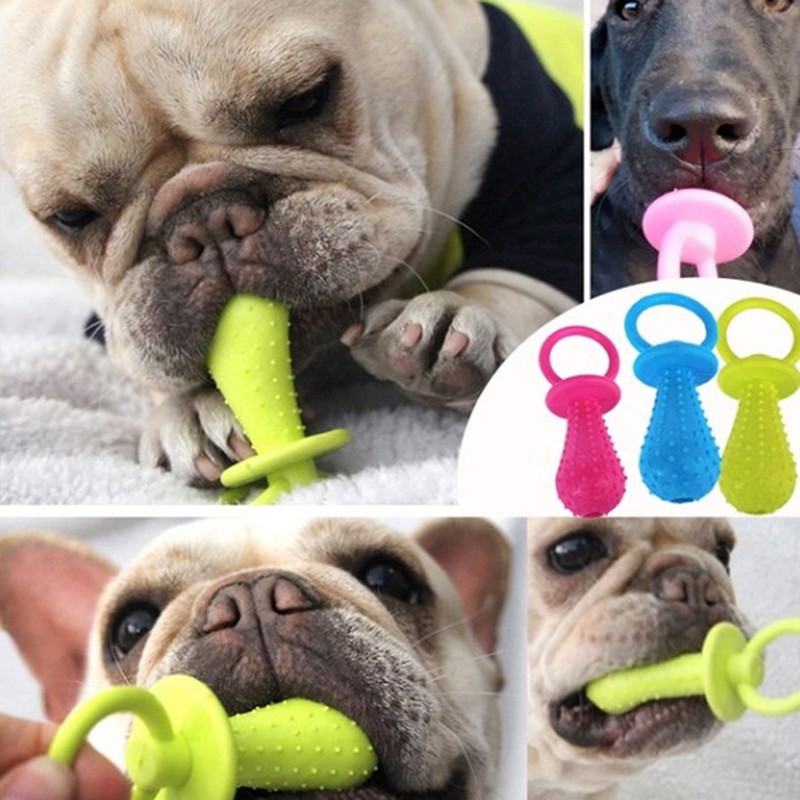 rubber pacifier for dogs