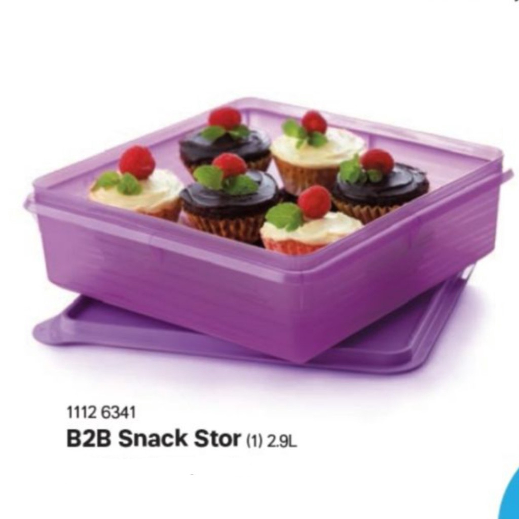 Tupperware B2B Snack Stor Food Container 2.9L | Shopee Philippines