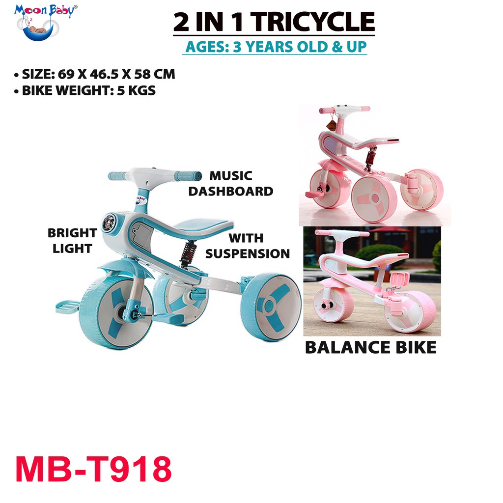 2 in 1 balance bike