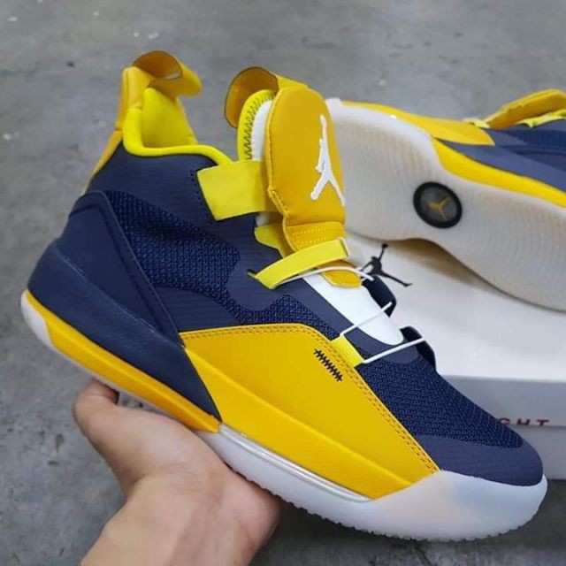 michigan jordan 33