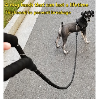 High quality reflective nylon rope dog leash cat leash essential for outdoor walking