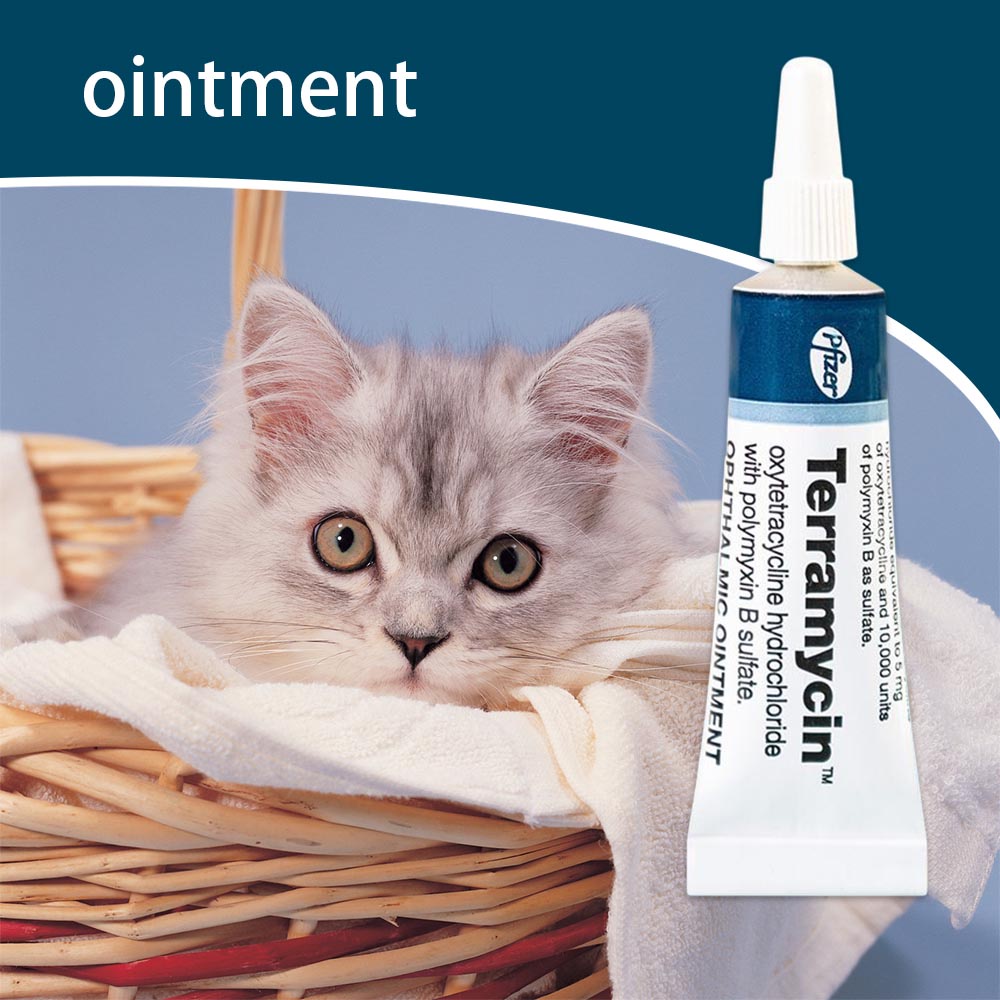 Pet Eye Soft Gel for Cat and Dog Corneal Inflammation Ointment Eye Eedness Cream Effective Eye Redness and Tearing Relief Cream Cream for Cat Dog Pet Supplies #3