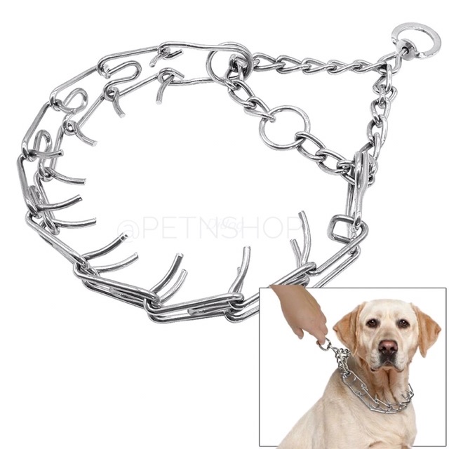 Pet Collar Steel Prong Collar for Dog Shopee Philippines