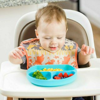 baby plates online