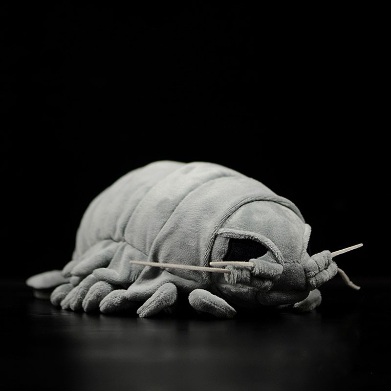 isopod plush