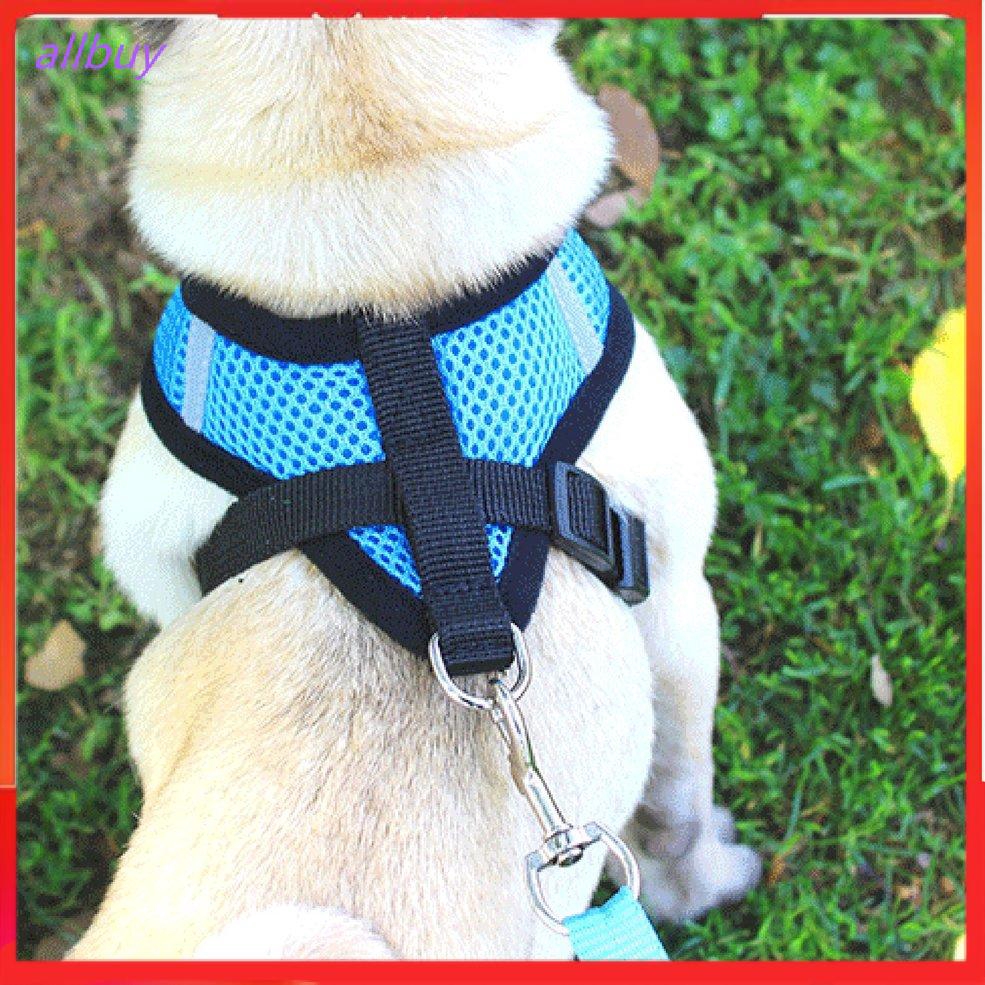 dog collar harness and leash set