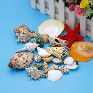 【cod】 ۩▼Conch Shell Starfish Craft Fish Tank Ornament Aquarium