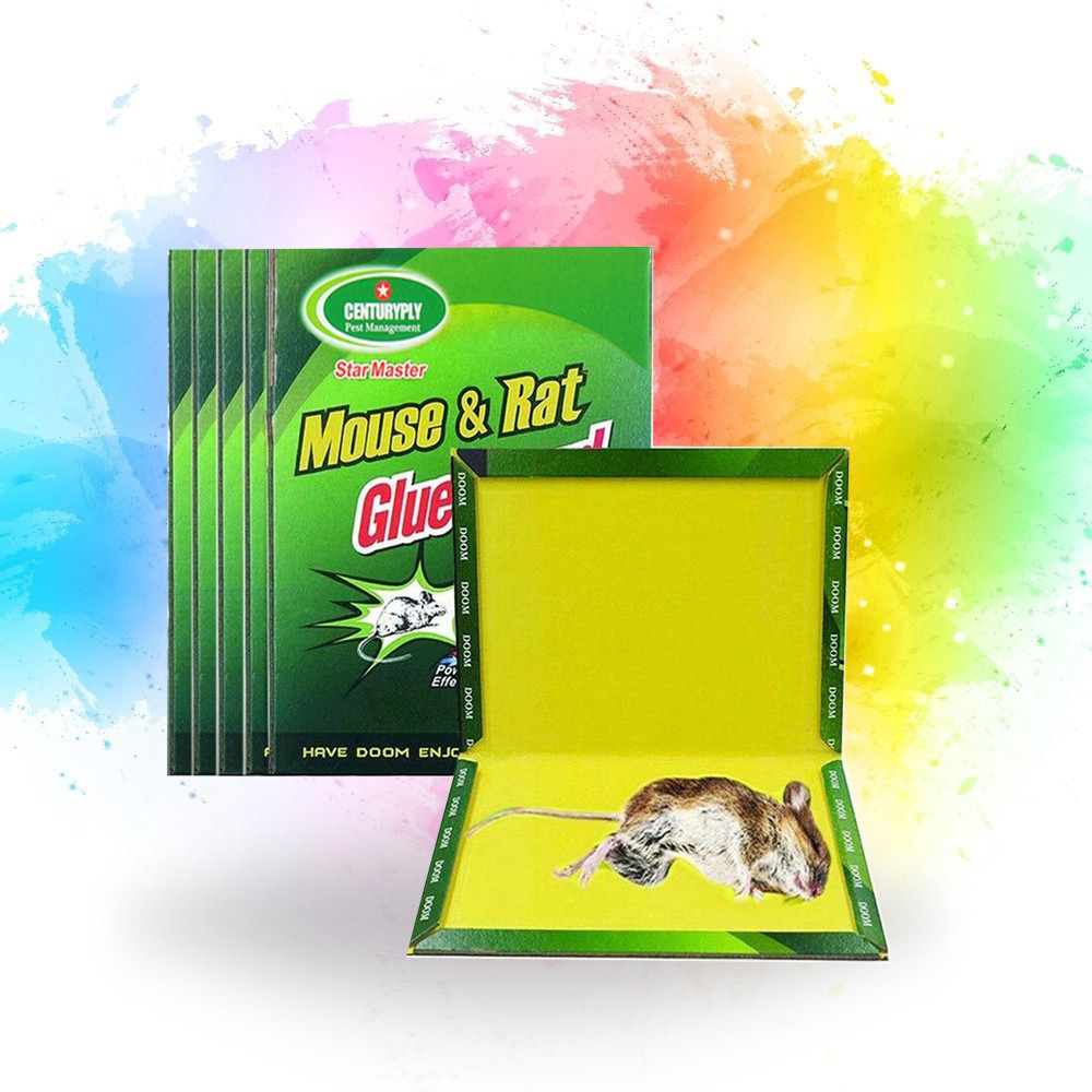 mouse glue traps effectiveness