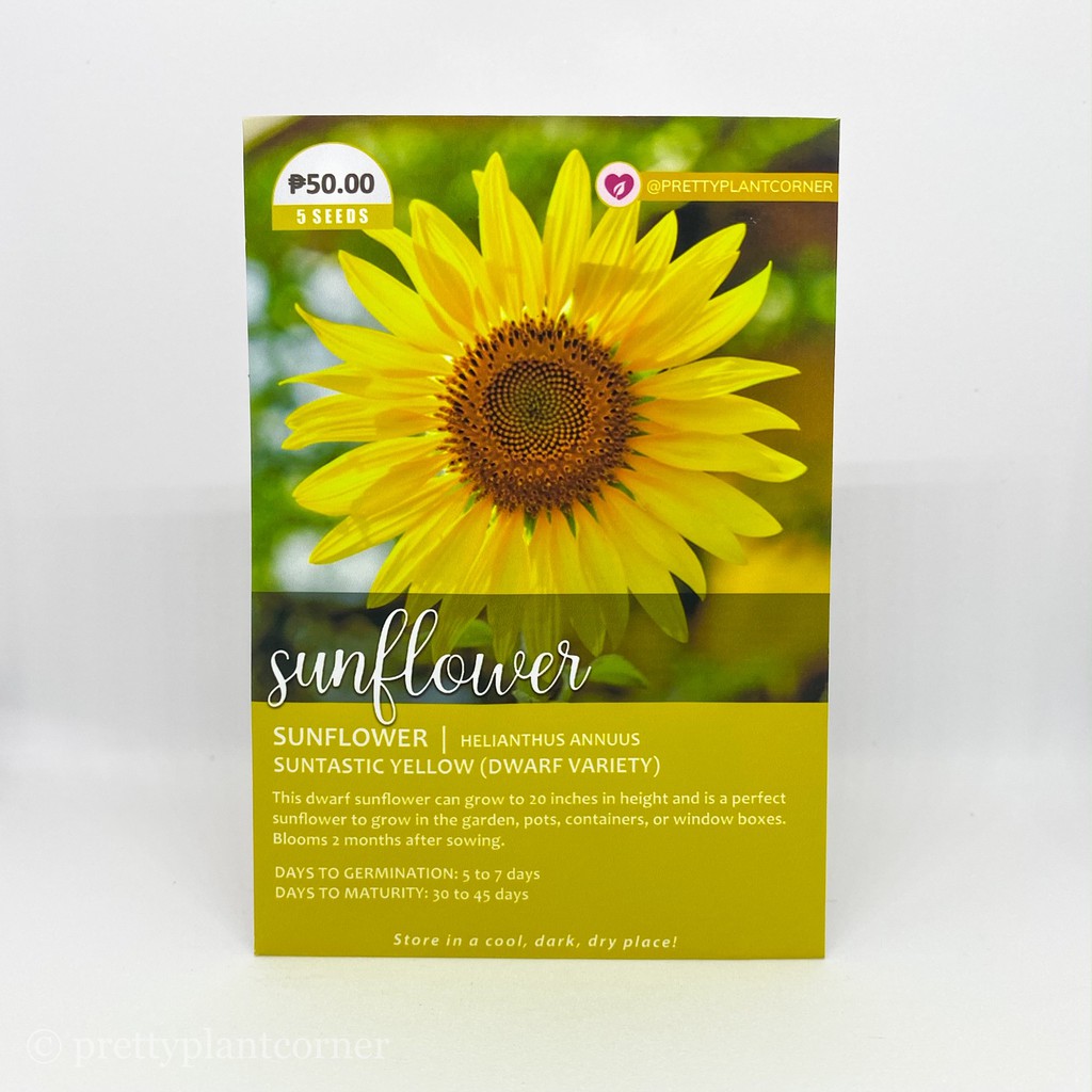 Suntastic Yellow Sunflower Seeds Shopee Philippines