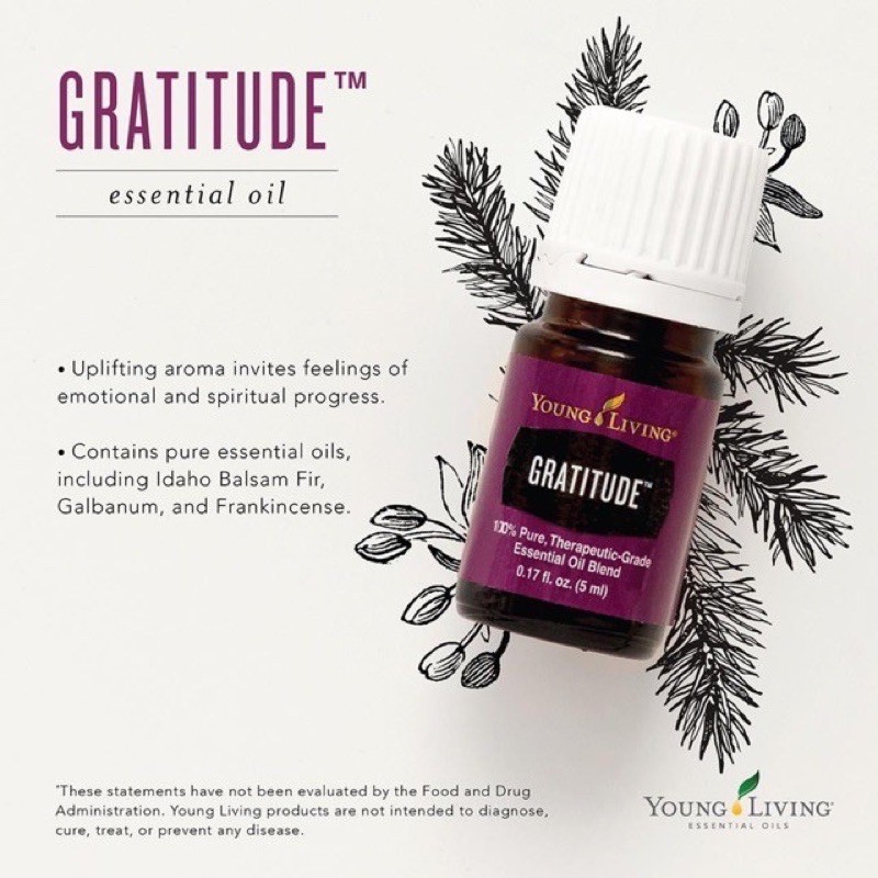 Young Living Gratitude Essential Oil Blend (5ml) | Shopee Philippines