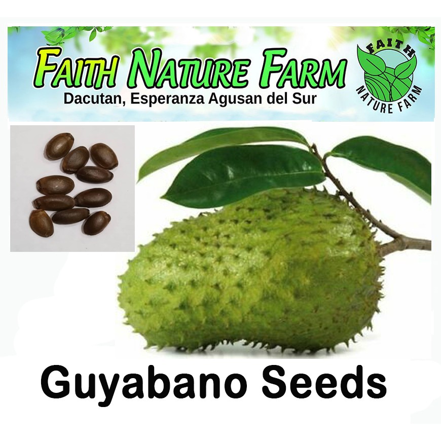 Guyabano Soursop Seeds 10seeds 35