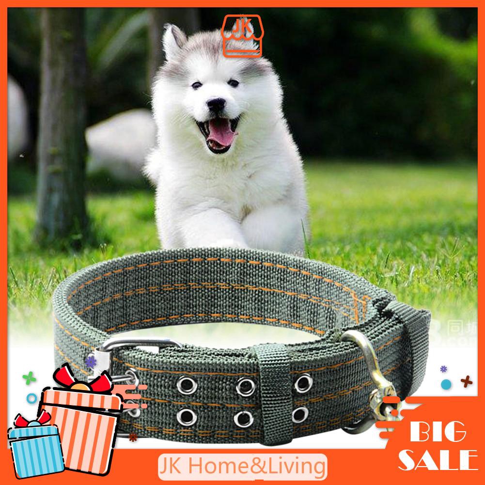 outdoor dog collars
