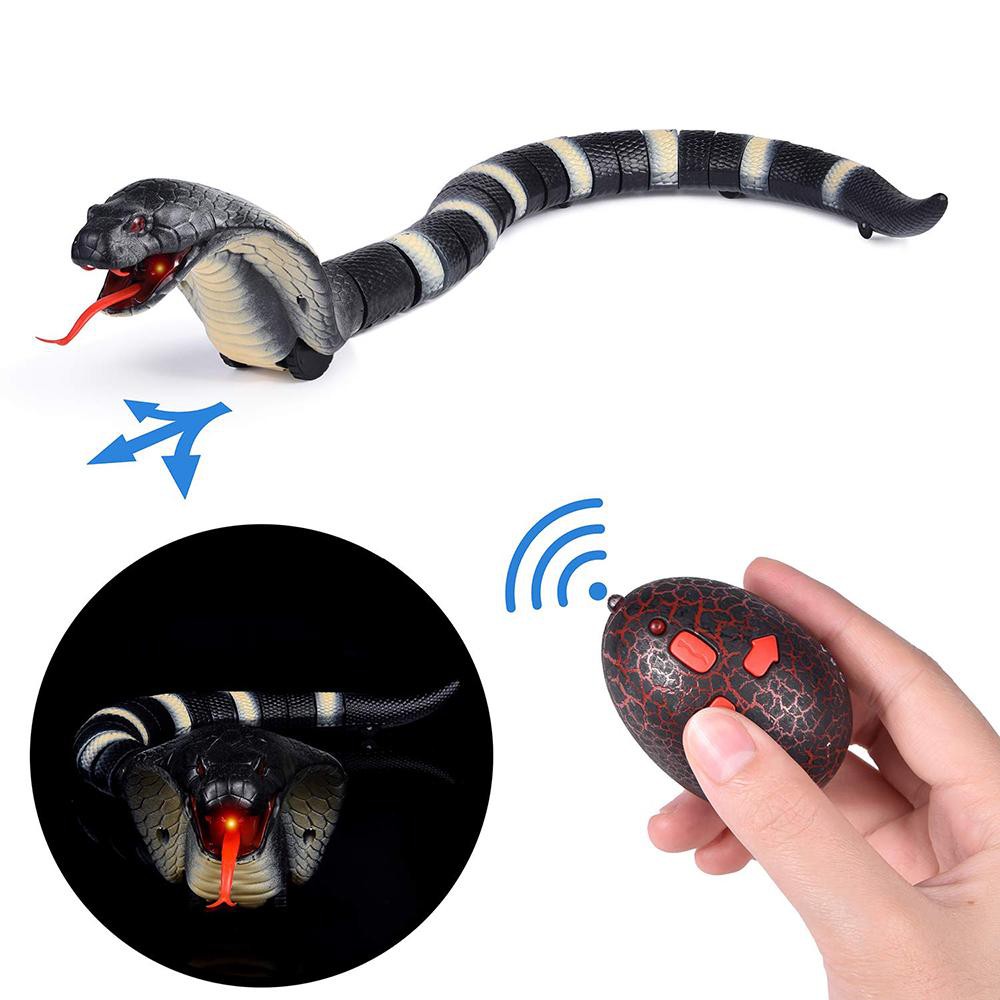 remote control anaconda