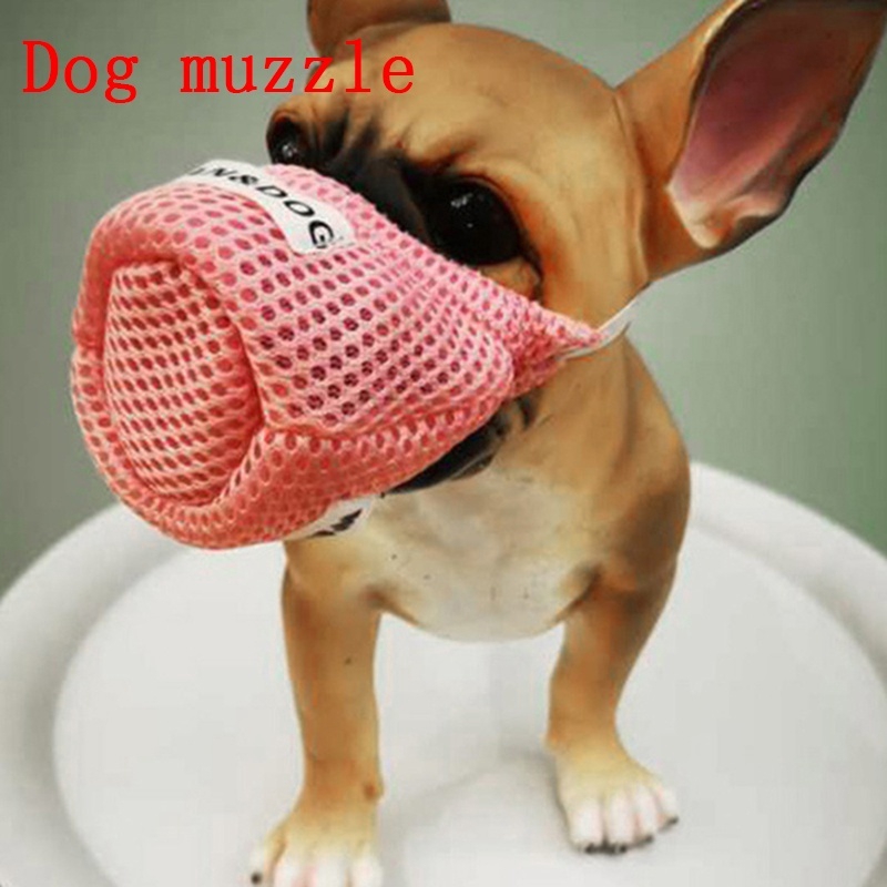 novelty dog muzzle