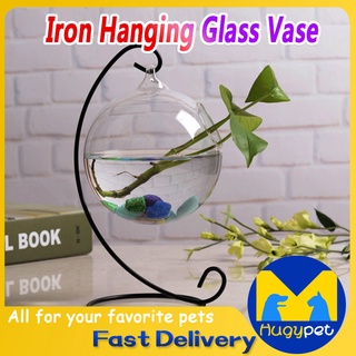 12cm Hanging Glass Aquarium Fish Bowl Fish Tank Flower Plant Vase With Rack Fishbowls Home Decor