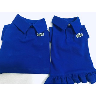 lacoste dog clothes