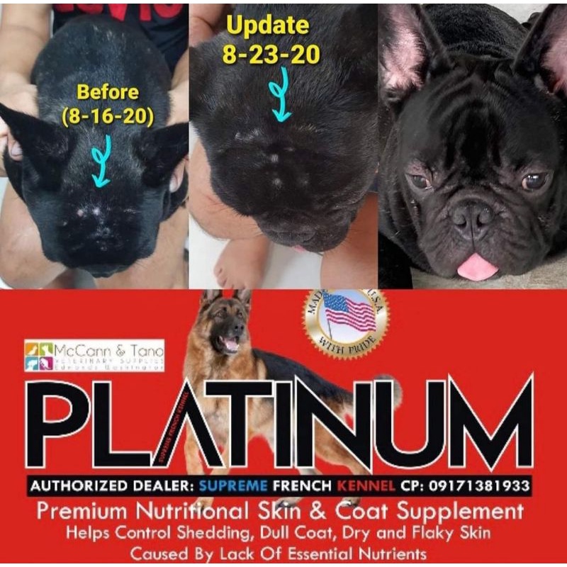PLATINUM SKIN & COAT SUPPLEMENTS (DOGS & CATS)coat shine for dog #7