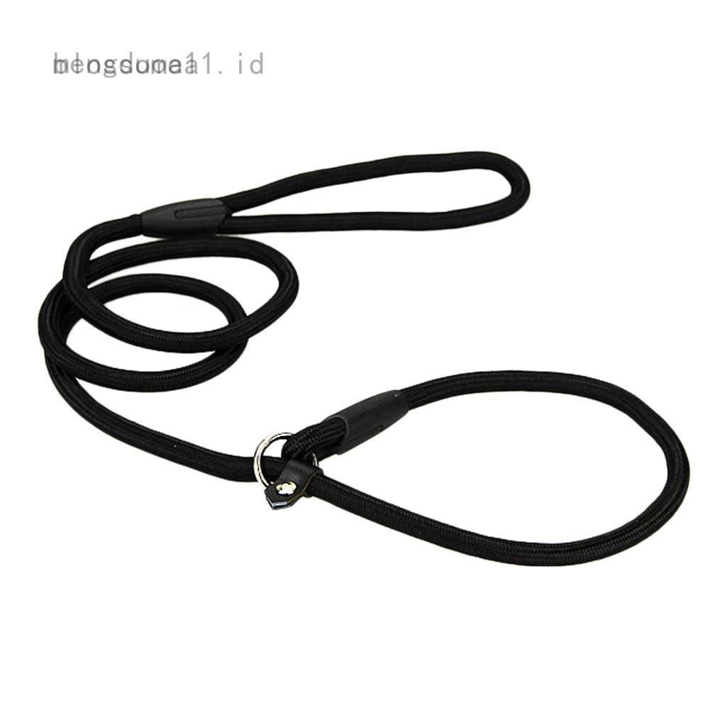 dog leash brands