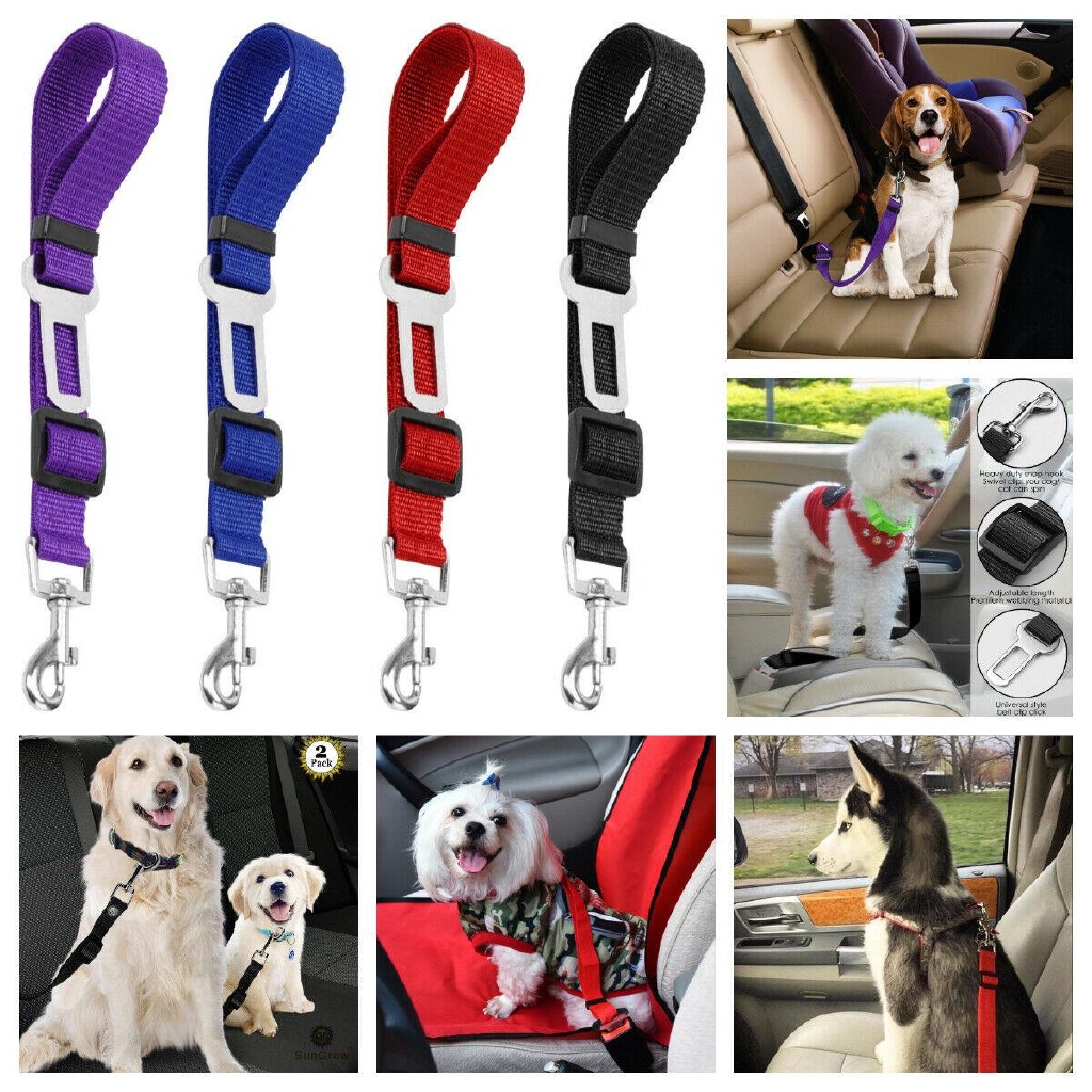 dog safety leash car seat belt