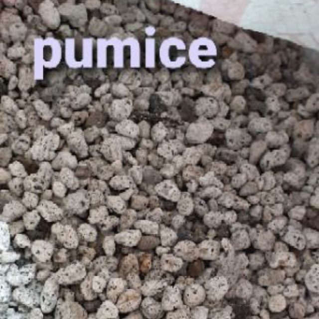 pumice stone for gardening Shopee Philippines