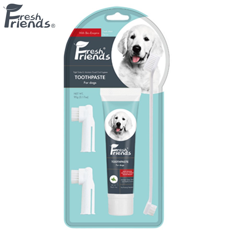 Fresh Friends Mint Flavor Toothpaste and Toothbrush for Dogs Set - 90g ...