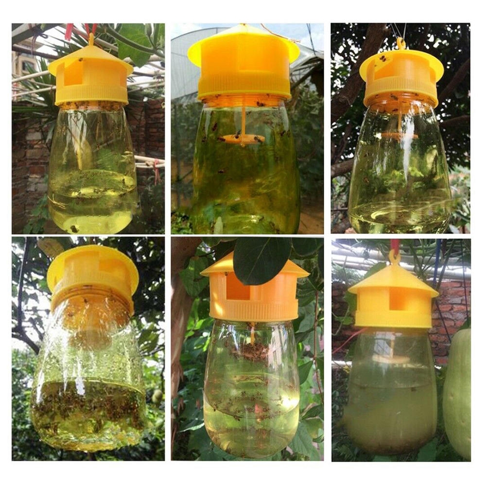 glass fly trap bottle