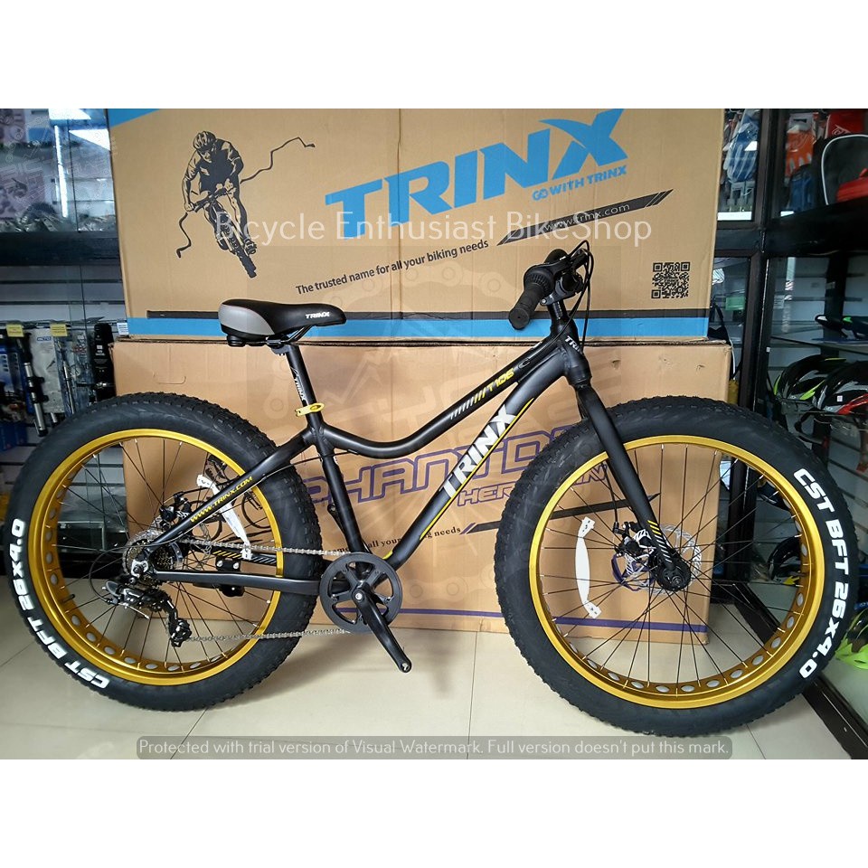 trinx model and price