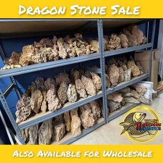 Dragon Stone for P60 ONLY( Read Product Description)