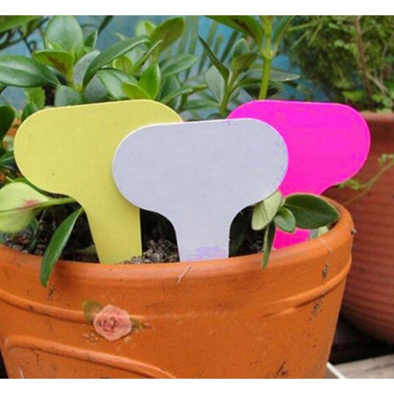 Gardening Name Tags T-Type Plant Tags Waterproof Plastic Plant Labels 6 Colors 