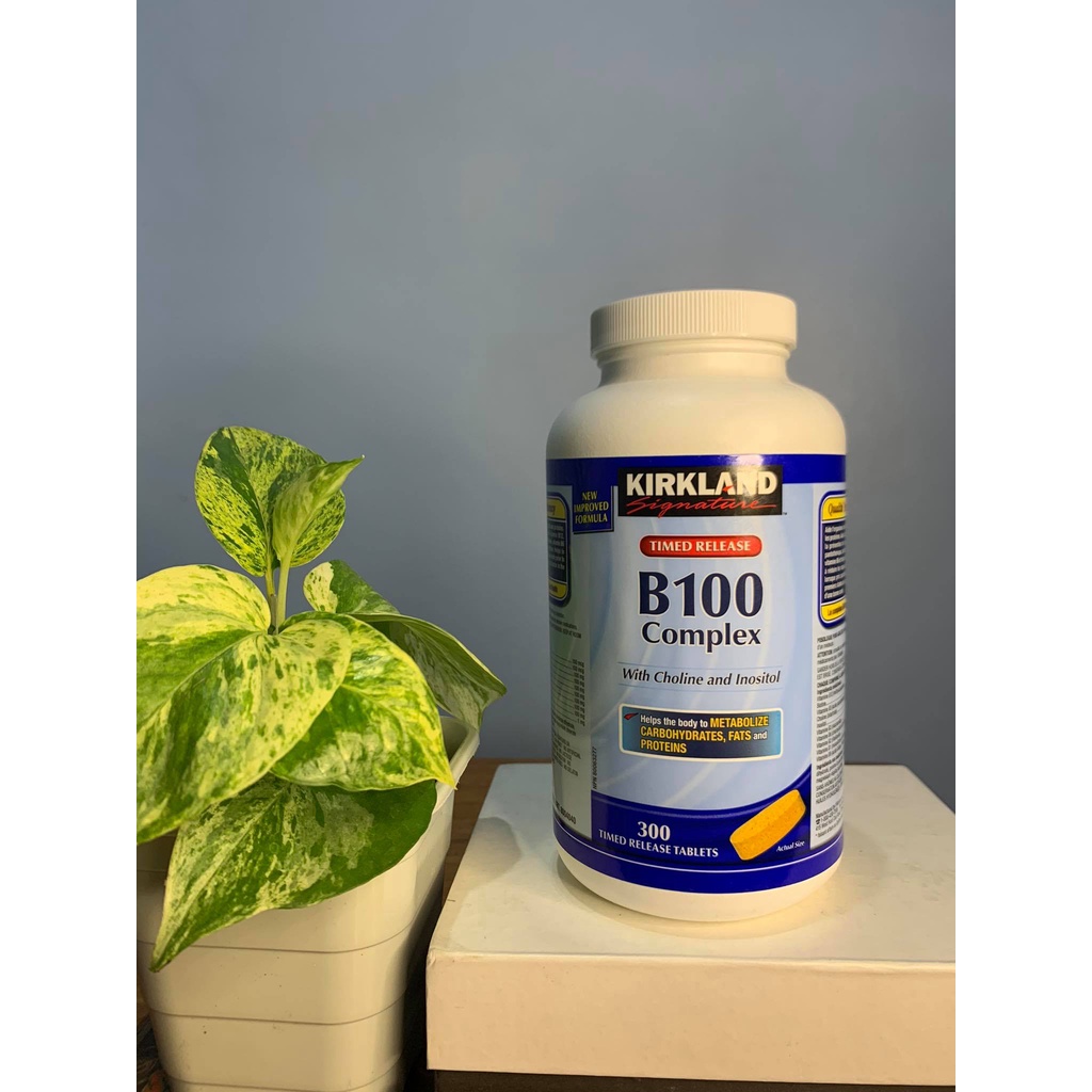 Kirkland Signature Vitamin B100 Complex With Choline And Inositol 300 ...