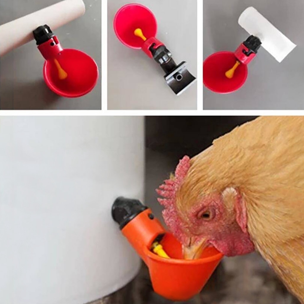 Chicken Drinker Cups