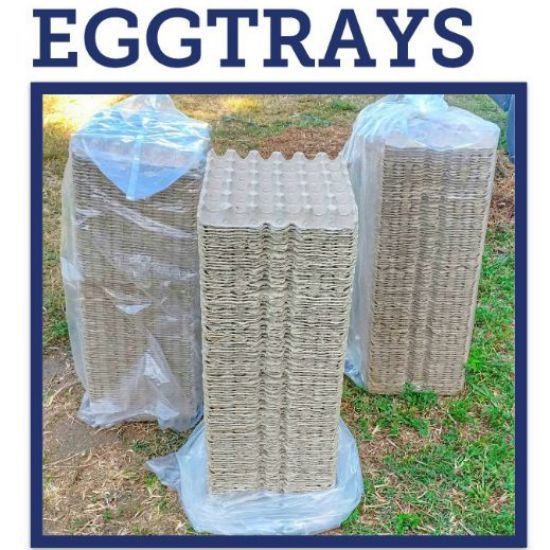 EGG TRAYS (BRAND NEW) 100pcs/ORDERS Shopee Philippines
