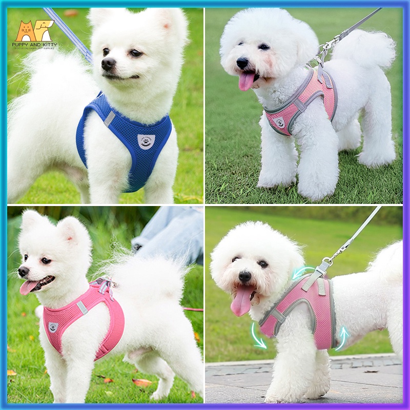 Adjustable Pet Leash Dog Harness Leash Mesh Collar Leash Strap Complete