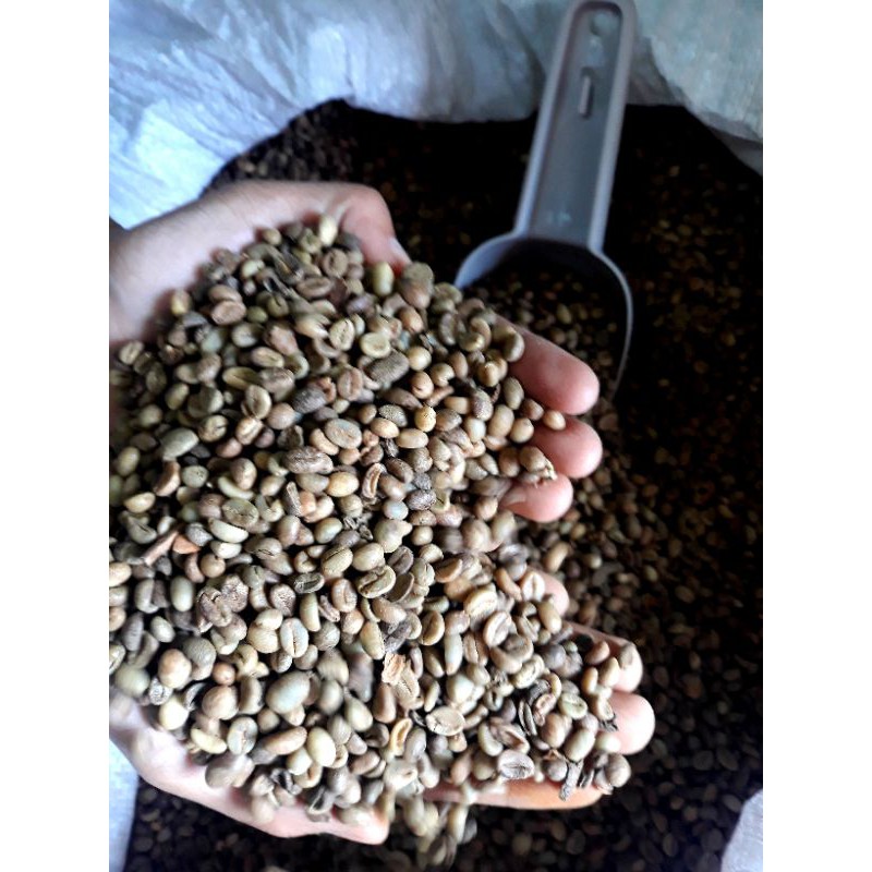 Raw Coffee Beans/1 kilo per pack Shopee Philippines