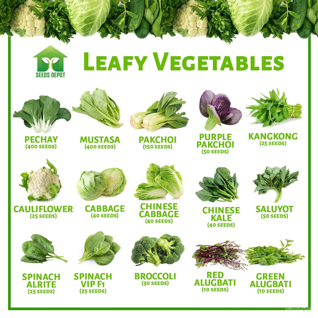 Leafy Vegetables - Pechay Mustasa Pakchoi Kangkong Cabbage Alugbati ...