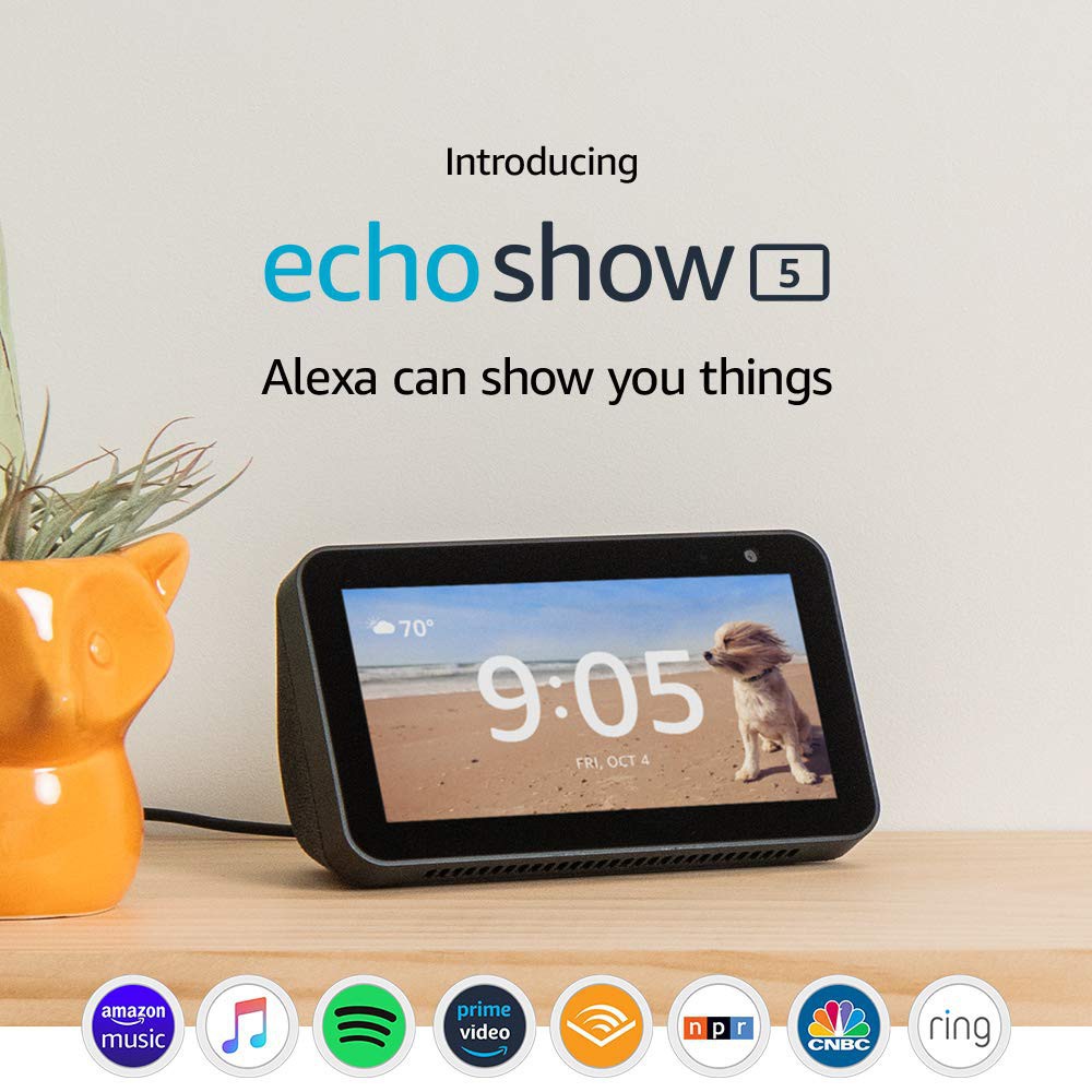 echo show smart display