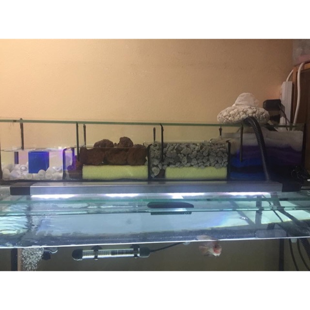 New Overhead sump aquarium fish tank 