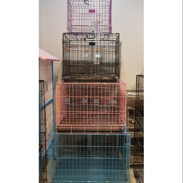 collapsible pet crate