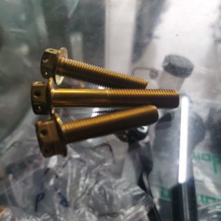 Nmax pipe bolt set gold bolt aerox Shopee Philippines Nmax pipe bolt set gold bolt aerox Shopee Philippines