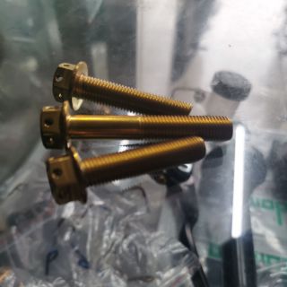  Nmax  pipe bolt  set gold  bolt  aerox Shopee Philippines