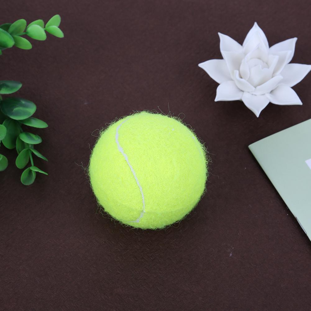 24cm tennis ball