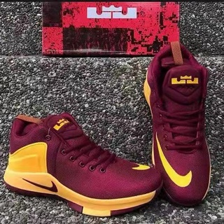 lebron ball shoes