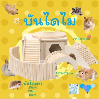 Hamster Wooden Stairs To Avoid Tunnels Golden Bear House Climbing Birch Bridge Curved Tree Hole. #1