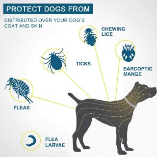 dog flea tick and mosquito collar