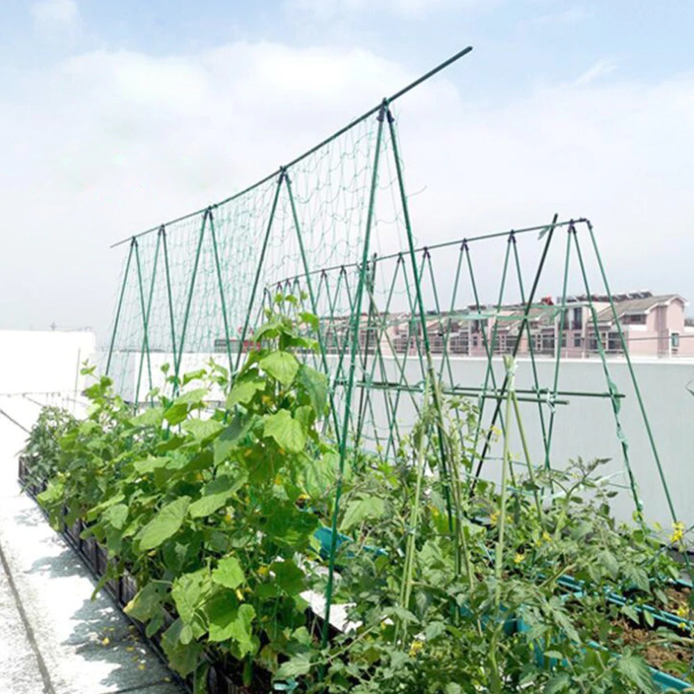 Trellis Netting