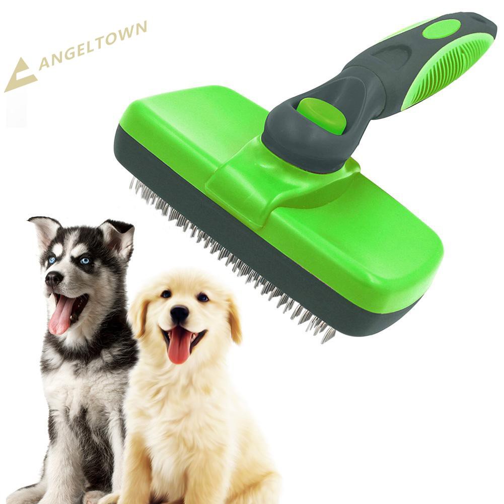 dog grooming special offers