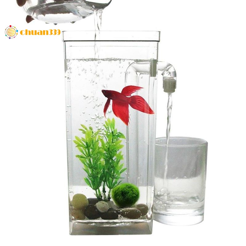 office fish tank