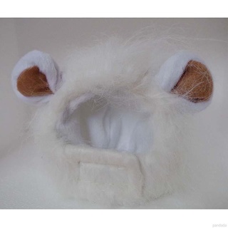 COD 1002 Pet Cat Dog Emulation Lion Hair Mane Ears Cap Autumn Lion Mane Wig Ehkd #8