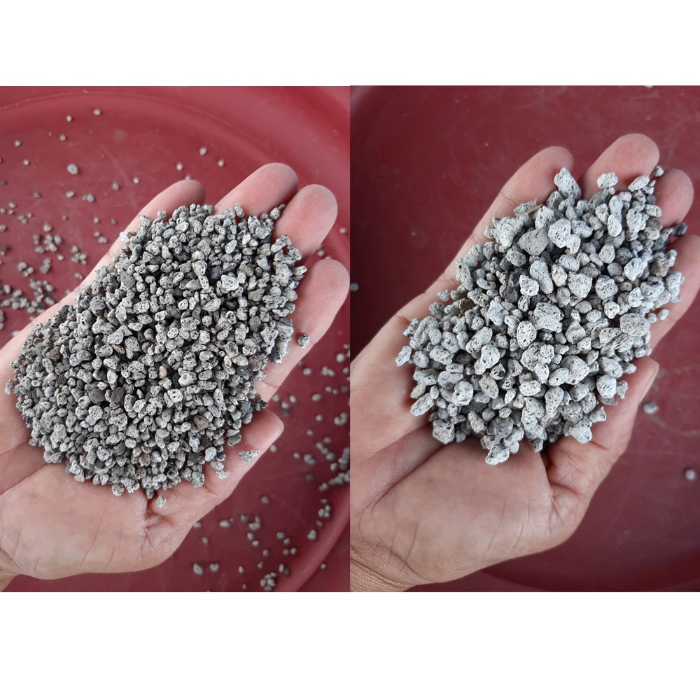 PUMICE Stones for Cactus &amp; Succulent 1kg Shopee Philippines