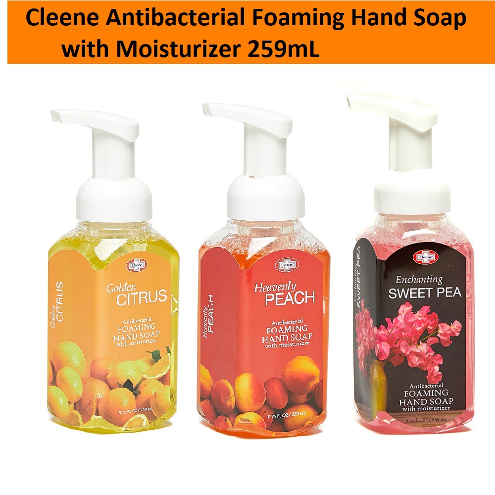 Cleene Antibacterial Foaming Hand Soap with Moisturizer 259mL Shopee